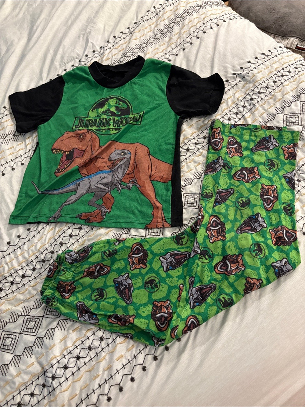 Boys Green Dinosaur Pajama Set